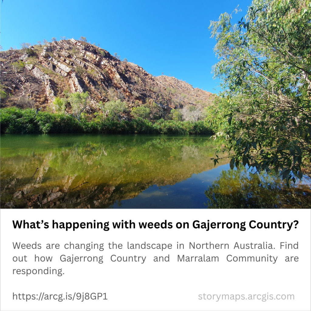 website_thumbnail